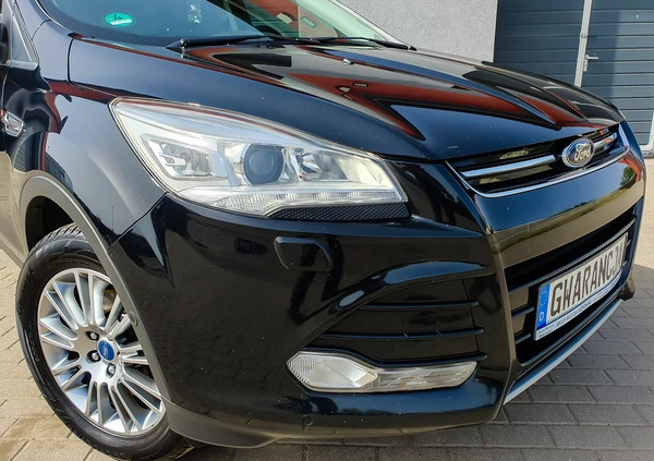 Ford Kuga cena 48500 przebieg: 176484, rok produkcji 2014 z Czerniejewo małe 781